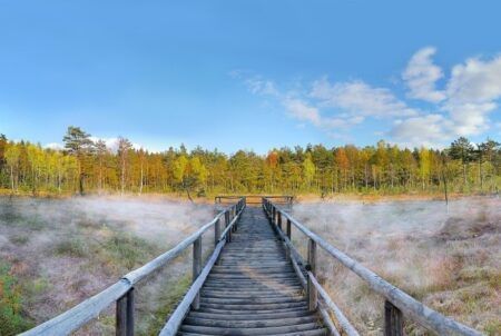 Veranstaltungsbild von Wackelsteinexpress