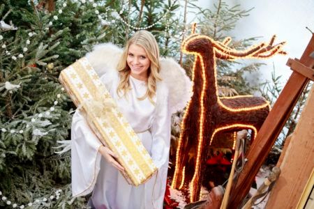 Veranstaltungsbild von Wackelsteinexpress