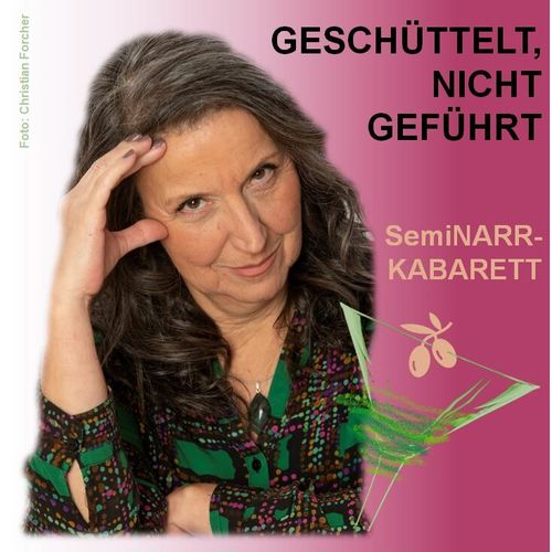 Veranstaltungsbild von Atterseebahn Nostalgie